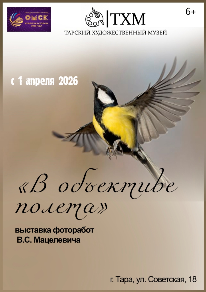 мацелевич копия 1