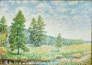 Бабушкин Н.Ф.1938г.р. Ручеёчек,2008г. холст, масло 37х52 ТХМ-888 Ж-570.jpg