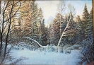 Бабушкин Н.Ф.1938г.р. Начало зимы,2015г. двп, масло 41,5х60 ТХМ-851 Ж-559.jpg
