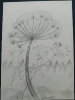 Т. Коробкина Цветы зимой, 2021 г. бумага, карандаш