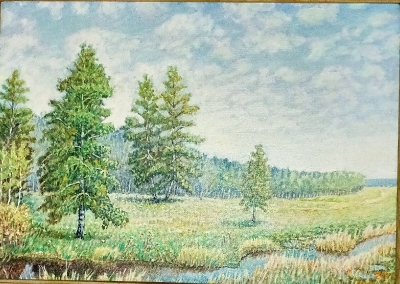 Бабушкин Н.Ф.1938г.р. Ручеёчек,2008г. холст, масло 37х52 ТХМ-888 Ж-570.jpg
