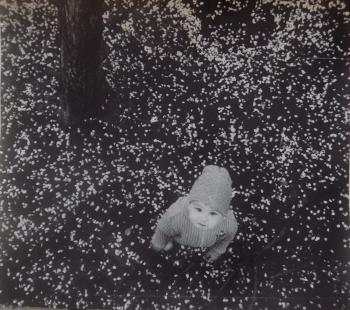 Мальгавко С.В.1959г.р. Яблоневый цвет,1985 г, фотобумага, фотопечать 30х34,5