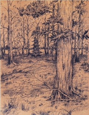 Строкин С.С. 1987 г.р. В лесу, 2008 г. бум. гелиевая ручка 